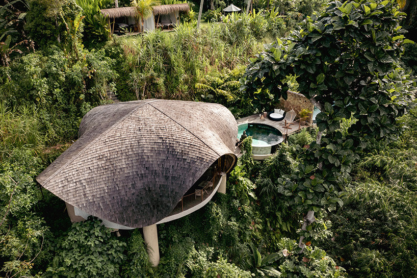 balalu dome pablo luna